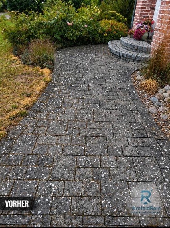 Verschmutzter Pflasterweg mit Flechten und Moos – vorher